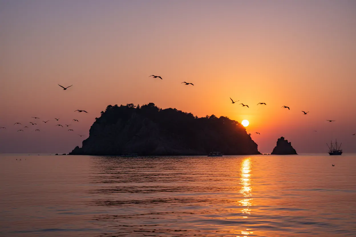 Ordu Gezilecek Yerler: Hoynat Adası Kuş Cenneti Rehberi
