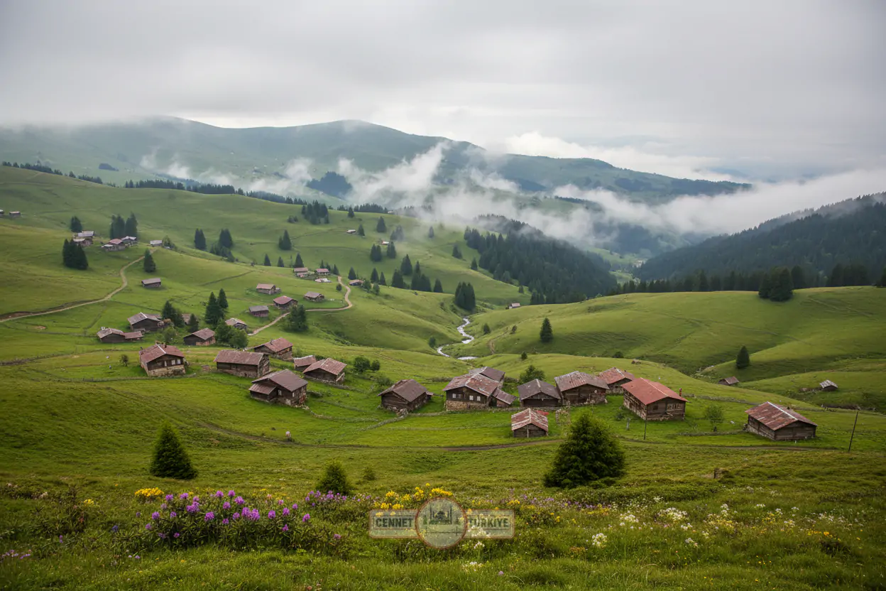 Çalıçileği Çorbası: Giresun’un Yayla Rüzgarı Sofralarda