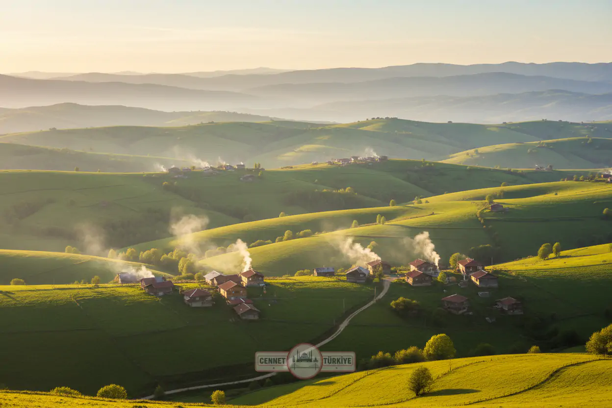 Düzce Cevizli Gözleme: Karadeniz’in Saklı Lezzeti