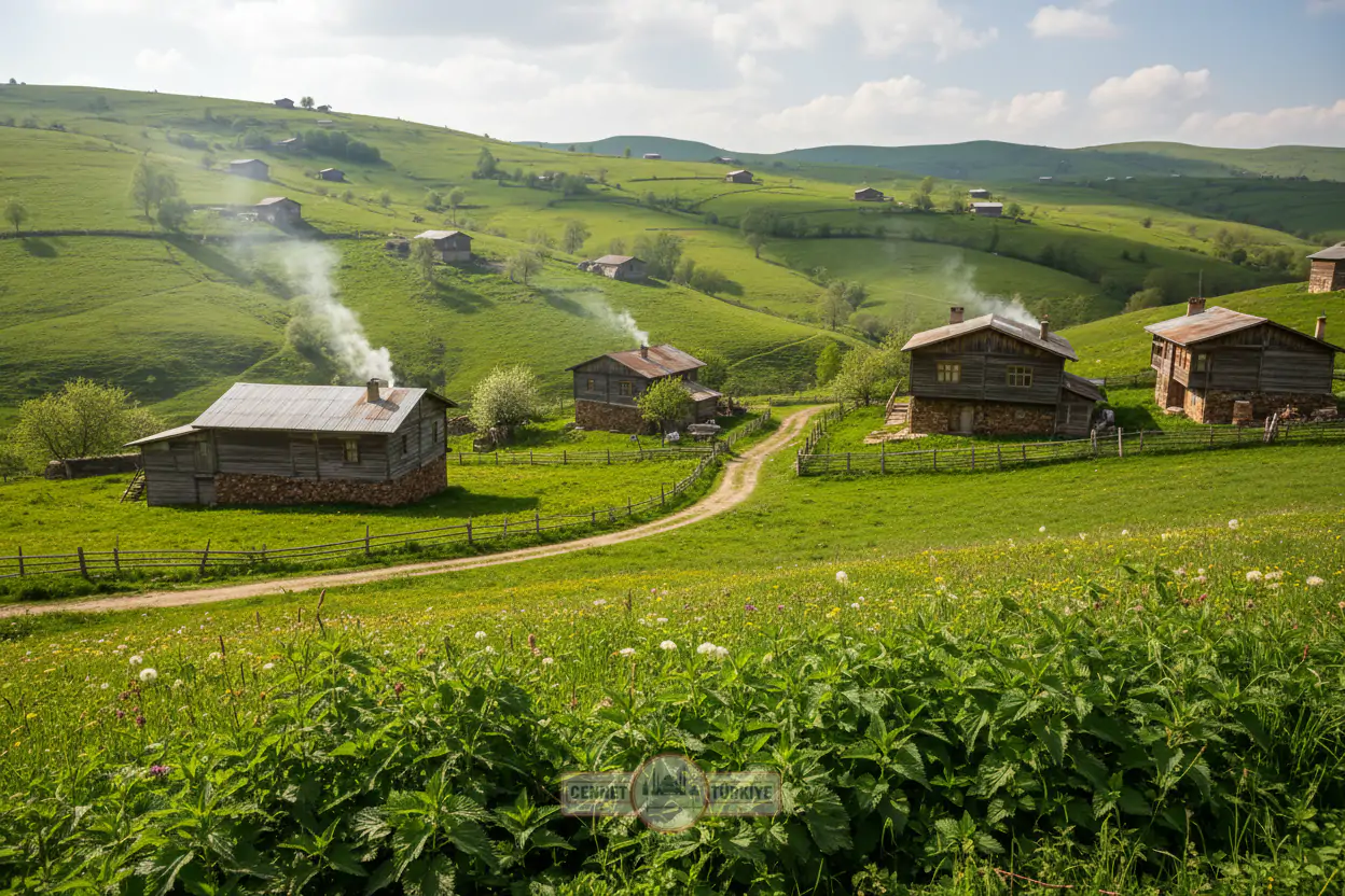 Karadeniz’in Gizli Hazinesi: Giresun Isırgan Yemeği