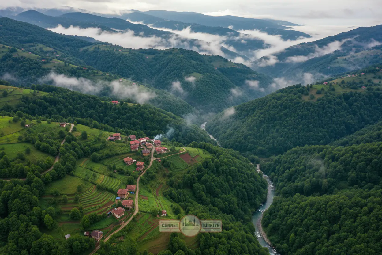 Ordu Mısır Yarmalı Aş Sarması: Karadeniz Sofralarının Gizli Lezzeti