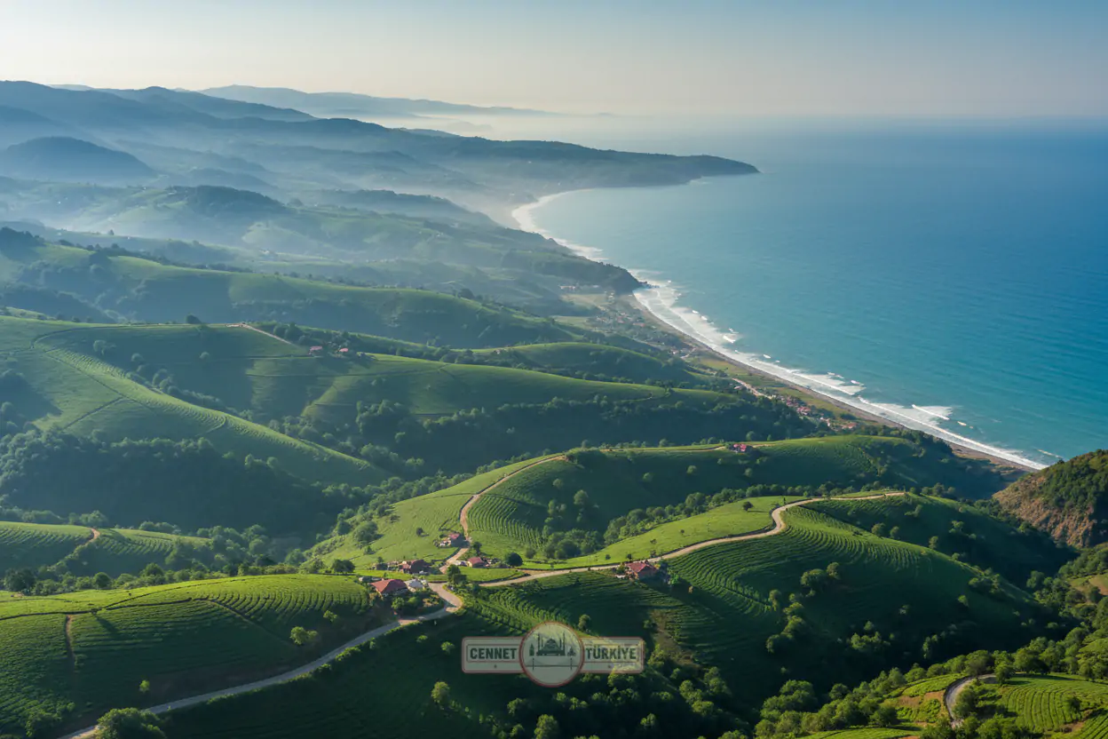 Ordu Papa Tatlısı: Karadeniz Üzümünün Kadim Lezzeti